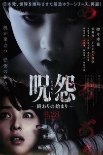 咒怨在线观看完整版,揭秘恐怖之源，惊悚之夜全程揭秘